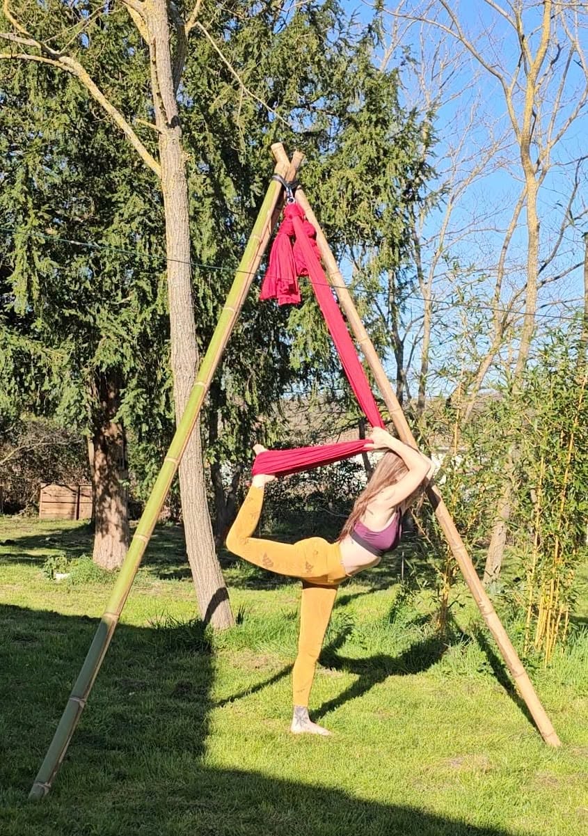 499039699_1243716594425669_5424699017396972653_n stage de pole dance
