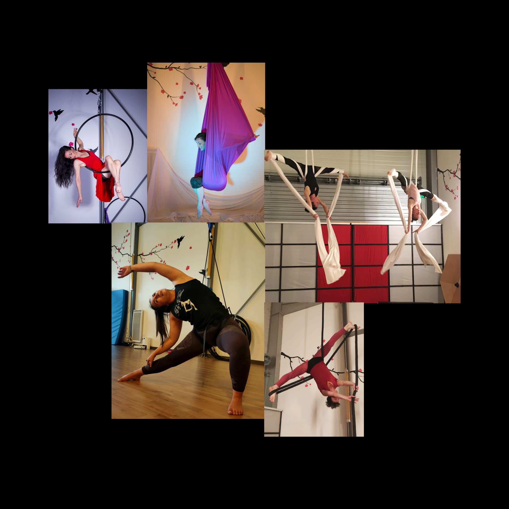 stage de pole dance